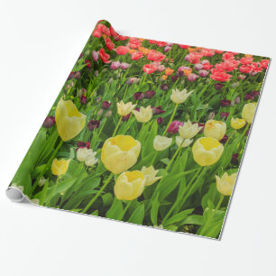 tulpen op glanzend inpakpapier