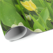 tulpen op glanzend inpakpapier (Rol Hoek)
