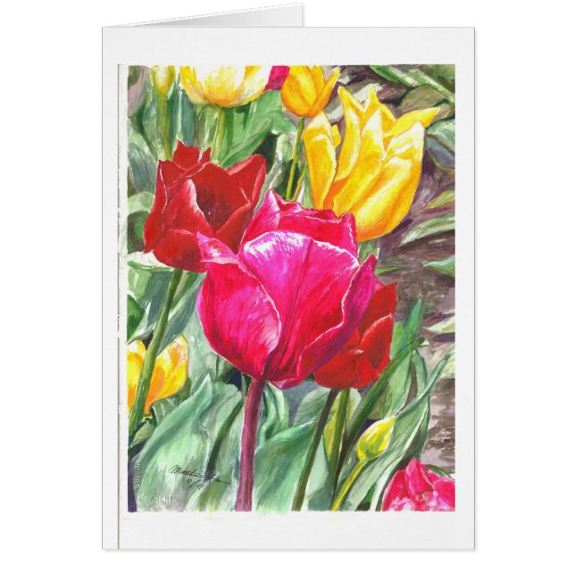 Tulpen op hun best (Voorkant)