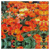 Tulpen op vuurvaste bodem stof (Close Up)