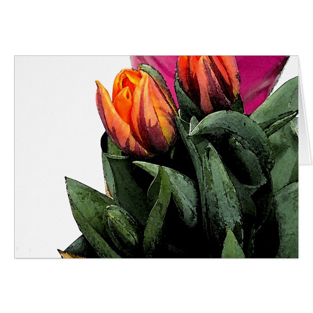 Tulpen opnieuw (Voorkant Horizontaal)