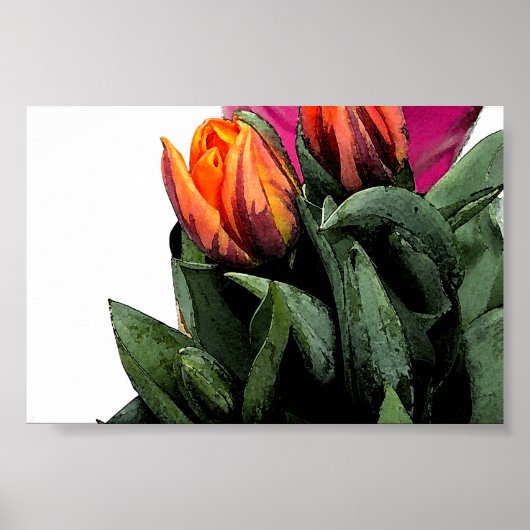 Tulpen opnieuw poster (Voorkant)