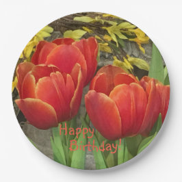 Tulpen Oranje Rood Verjaardag Papieren Bordje