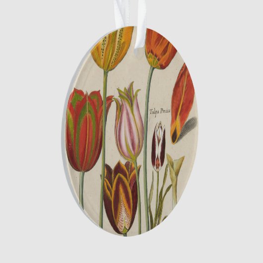 Tulpen Ornament (voorkant)