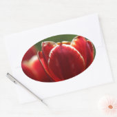 Tulpen Ovale Sticker (Envelop)