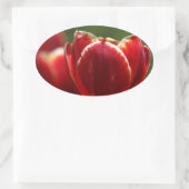 Tulpen Ovale Sticker (Tas)