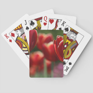 Tulpen Pokerkaarten