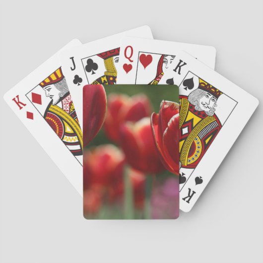Tulpen Pokerkaarten (Achterkant)