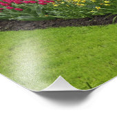 Tulpen, pompelhyacinth en kleefstoffen, foto afdruk (Hoek)