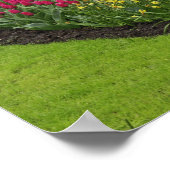 Tulpen, pompelhyacinth en kleefstoffen, poster (Hoek)