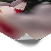 Tulpen Poster (Hoek)