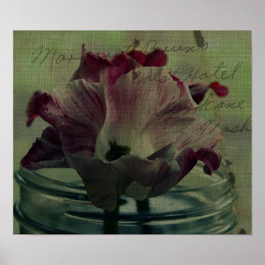 Tulpen Poster (Voorkant)