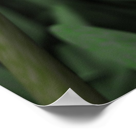 Tulpen Poster (Hoek)