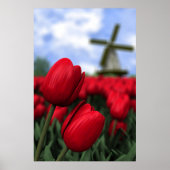 Tulpen Poster (Voorkant)