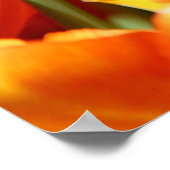 tulpen poster (Hoek)