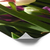 tulpen poster (Hoek)