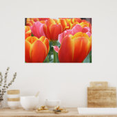 Tulpen Poster (Keuken)