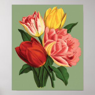 Tulpen Poster