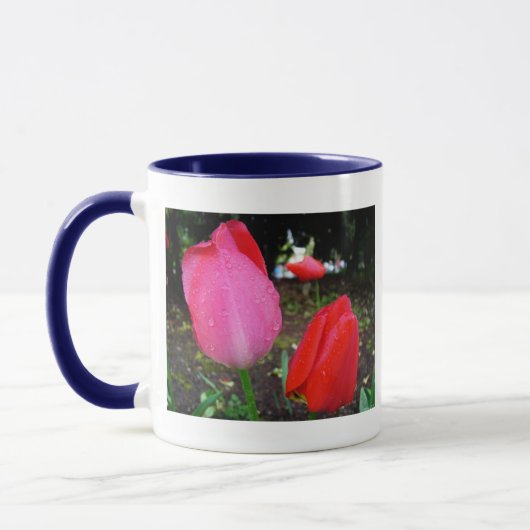 tulpen, regendruppels mok (Links)