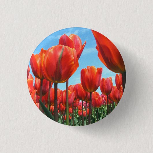 Tulpen Ronde Button 3,2 Cm (Voorkant)