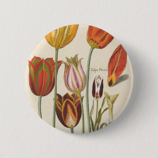 Tulpen Ronde Button 5,7 Cm (Voorkant)