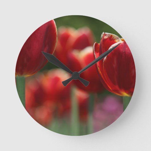 Tulpen Ronde Klok (Voorkant)