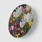 Tulpen Ronde Klok (Hoek)
