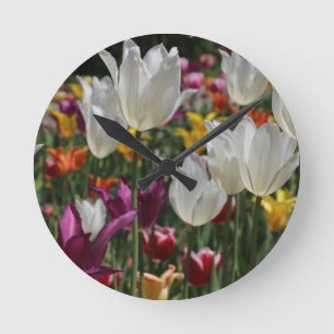 Tulpen Ronde Klok