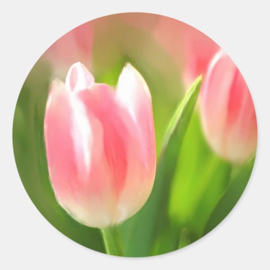 Tulpen Ronde Sticker (Voorkant)
