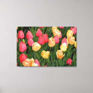 Tulpen (rood/geel) Afdrukken van omhuld canvas