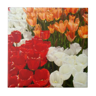 Tulpen Rood Oranje Witte Tulp Bloemen cadeaus Tegeltje