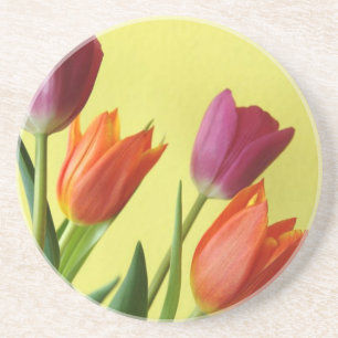 Tulpen Sandstone Onderzetter