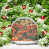 Tulpen Sneeuw Wereldbol Sneeuwbol (Kerstmis)