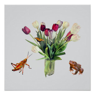 Tulpen, sprinkhaan, vlinder en kikker perfect poster
