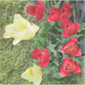 Tulpen Sticker (Voorkant)