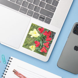 Tulpen Sticker