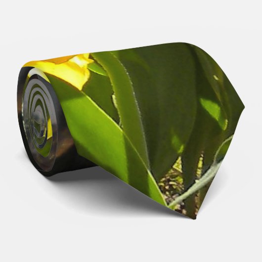 Tulpen stropdas (Opgerold)