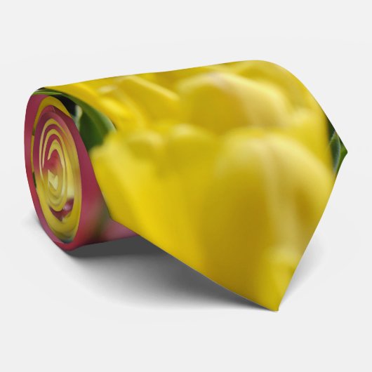 Tulpen Stropdas (Opgerold)