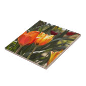 Tulpen Tegeltje (Zijkant)
