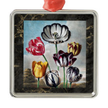  Tulpen - Tempel van Flora Botanisch -