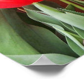 Tulpen Tijd Poster (Hoek)