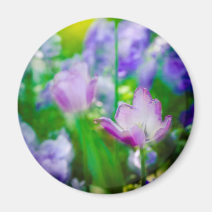 Tulpen tuin, Giverny, Frankrijk Magneet