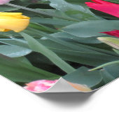 Tulpen tuin poster (Hoek)