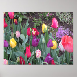 Tulpen tuin poster