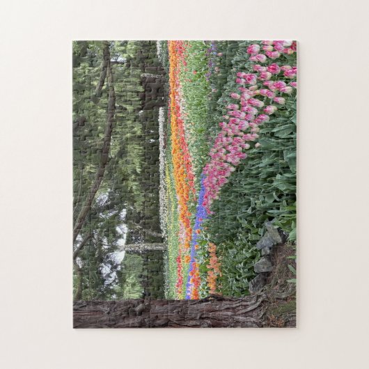 Tulpen Tuin Puzzel Skagit Valley Washington (Verticaal)