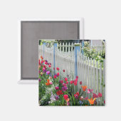 Tulpen tuinkorps met een witte omheining magneet (Voorkant / Achterkant)