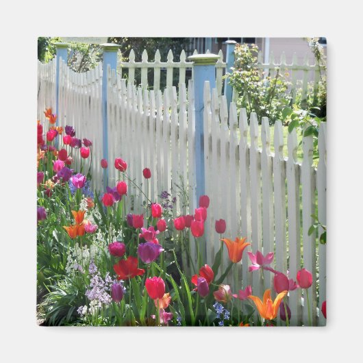 Tulpen tuinkorps met een witte omheining magneet (Voorkant)