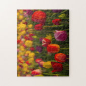 Tulpen, Tulip Festival, Woodburn, Oregon, Verenigd Legpuzzel (Verticaal)