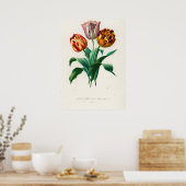 Tulpen (Tulipa gesneriana) van Didier Poster (Keuken)