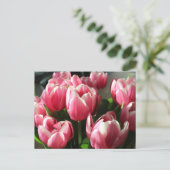 Tulpen uit Amsterdam 2 Briefkaart (Staand voorkant)